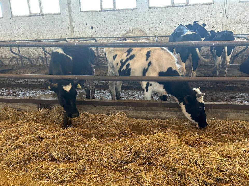 İl Müdürü Üreticilerle Sahada Buluştu 4
