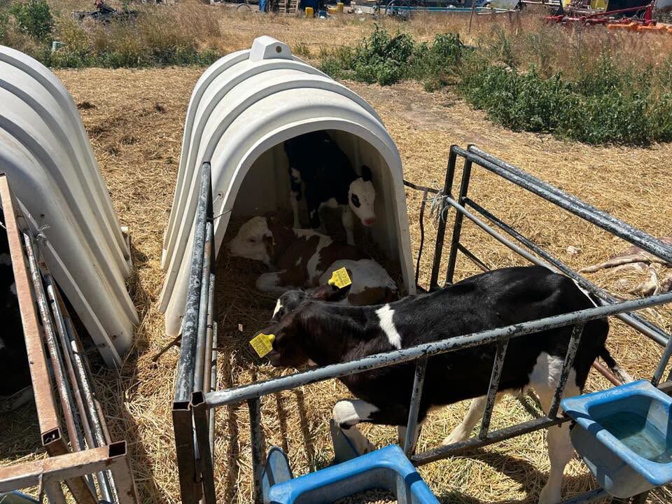 İl Müdürü Üreticilerle Sahada Buluştu 6