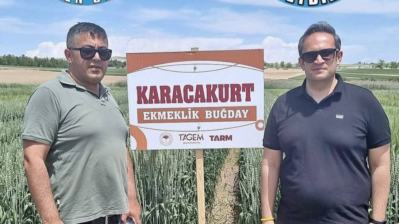 Kırşehir Memleket Haber Portalı 2026 06 19T125018.189