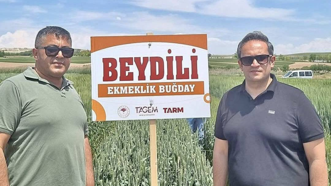 Kırşehir Memleket Haber Portalı 2026 06 19T125105.380
