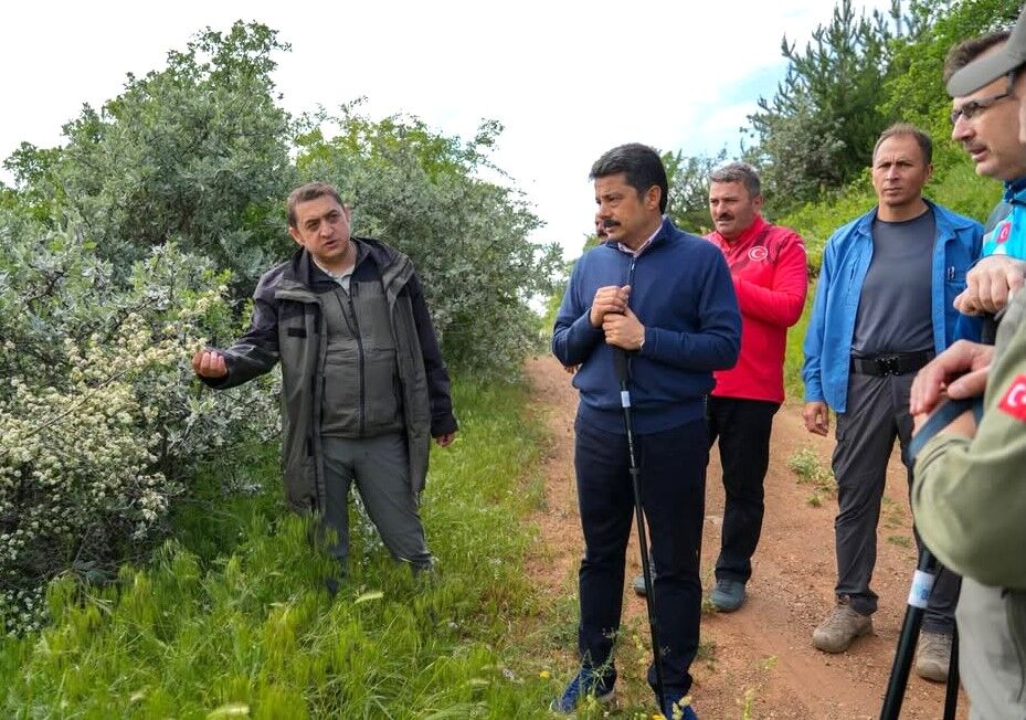 Kırşehir’de Kenelere Karşı Kanatlı Ordu Göreve Başladı (10)