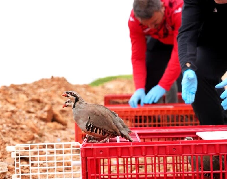 Kırşehir’de Kenelere Karşı Kanatlı Ordu Göreve Başladı (2)