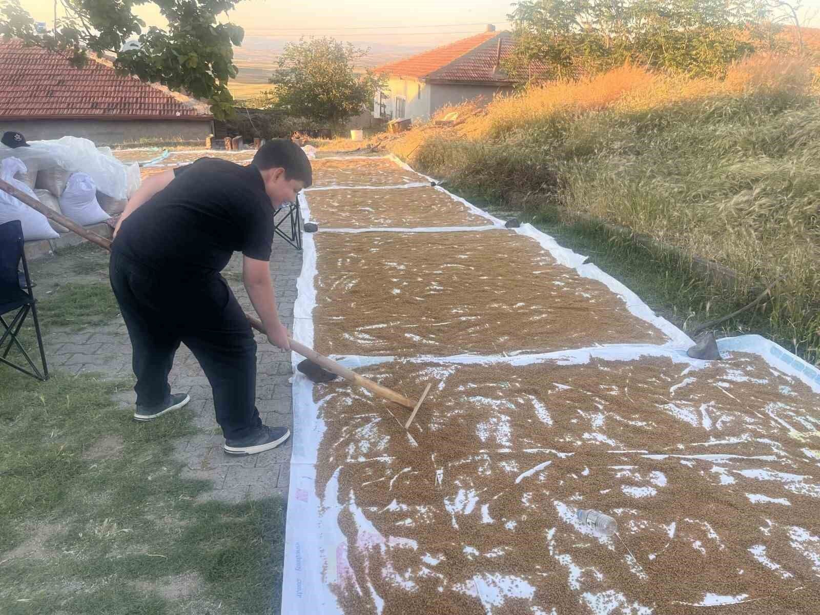 Kırşehir’de Kışlık Bulgur Hazırlıkları Başladı 1