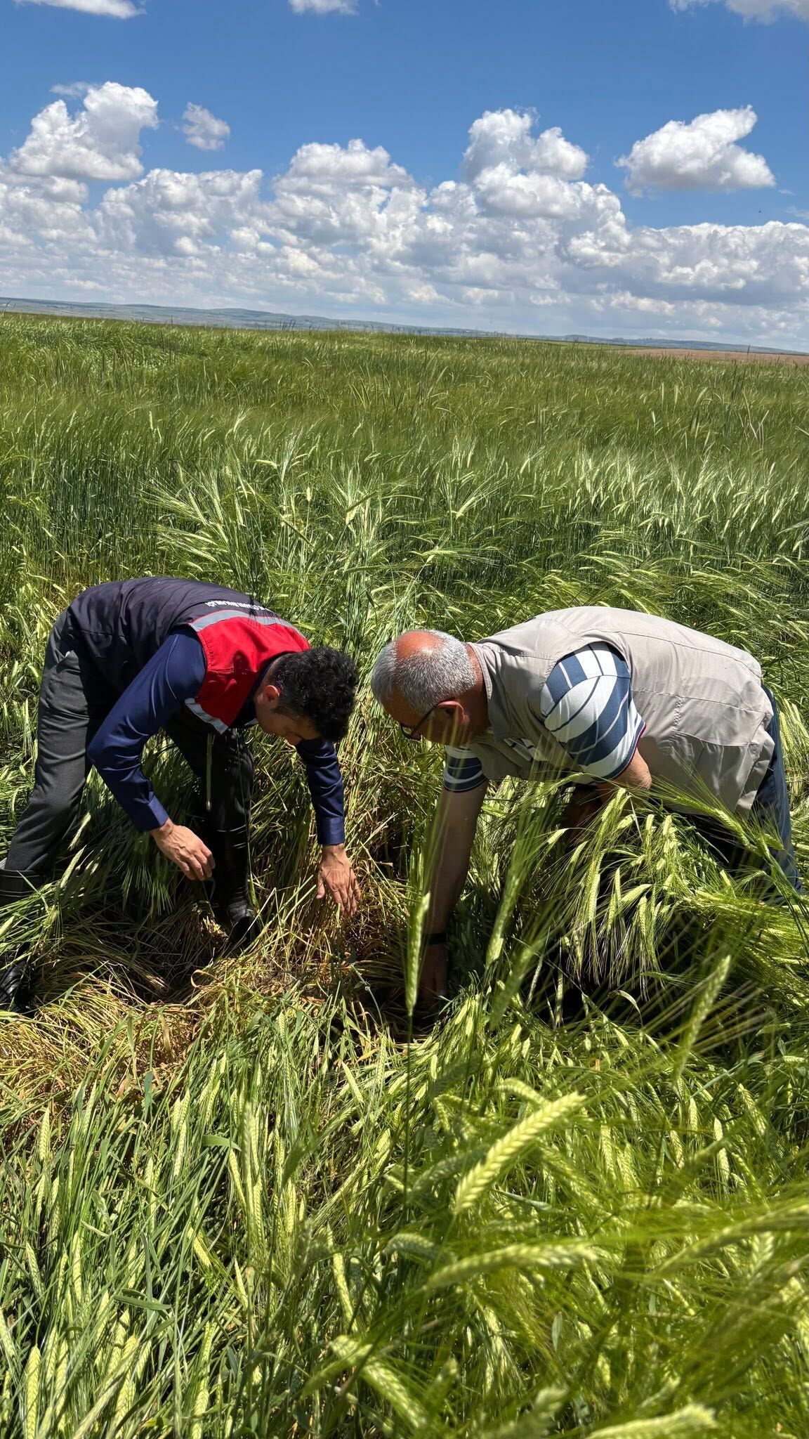 Kırşehir’de Yoğun Yağış Sonrası Tarım Arazileri Mercek Altında 8