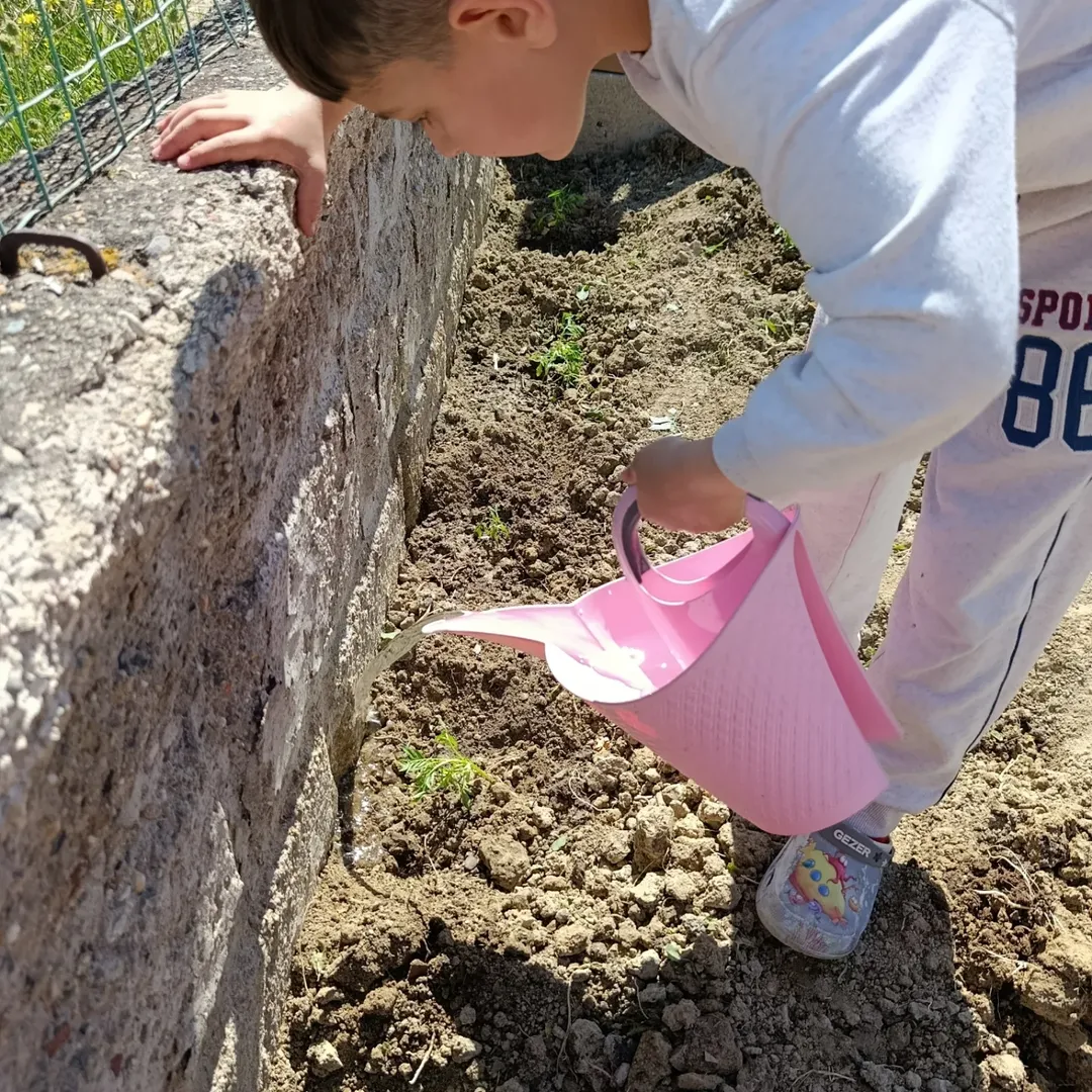 My School Like A Flowers Etwinning Projesi Kapsamında Okulumuz Bahçesi Çiçeklerle Buluştu (1)
