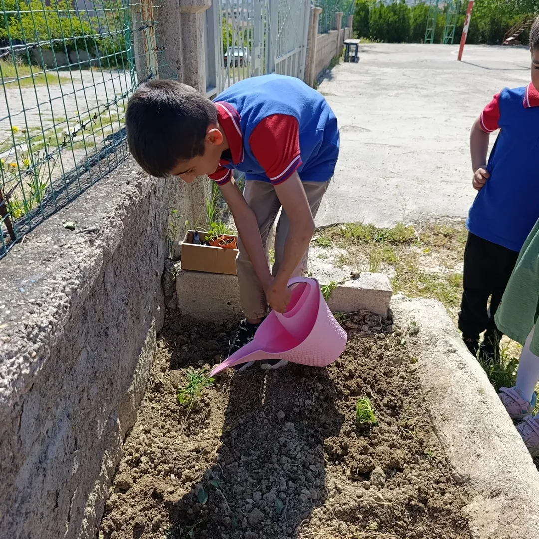 My School Like A Flowers Etwinning Projesi Kapsamında Okulumuz Bahçesi Çiçeklerle Buluştu (6)