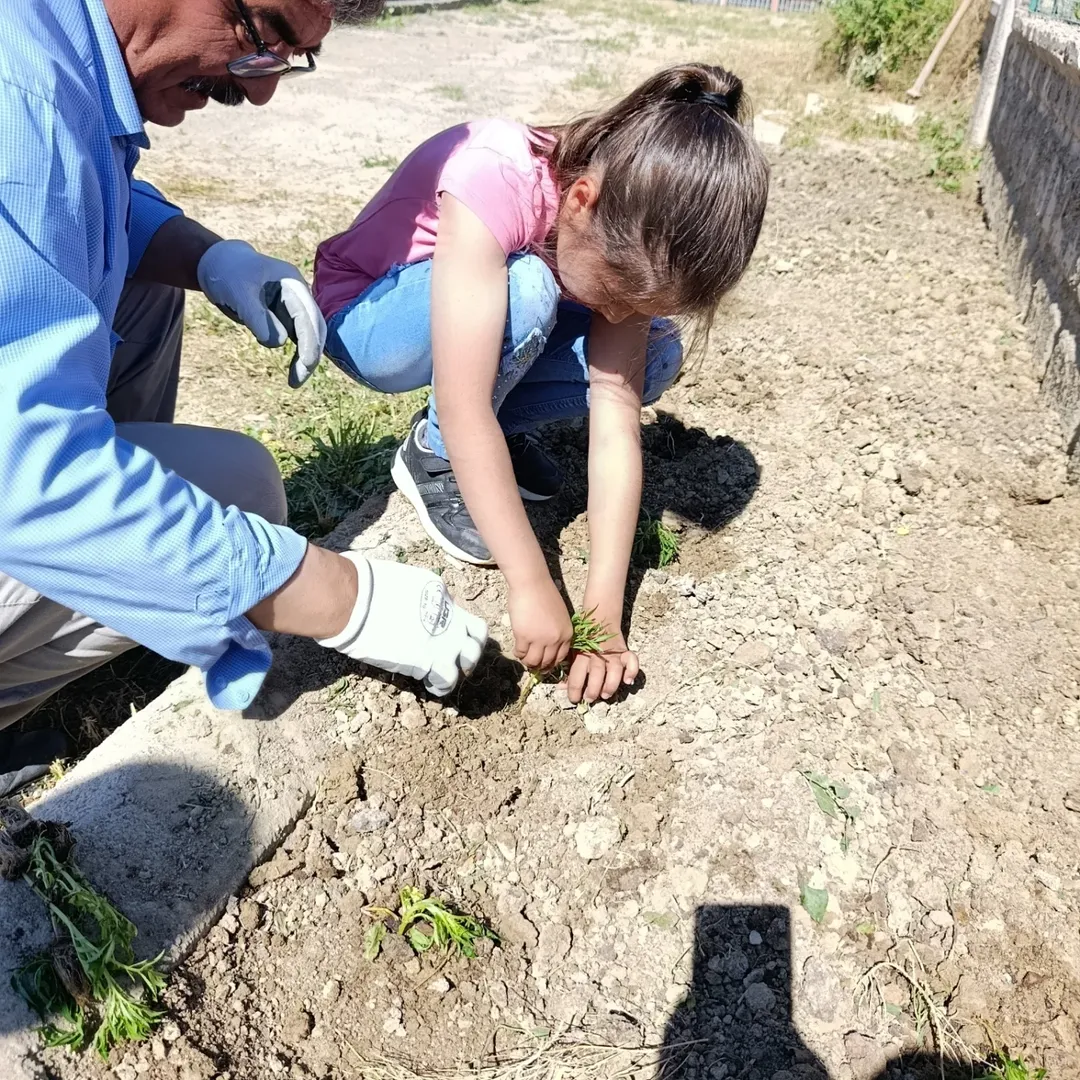 My School Like A Flowers Etwinning Projesi Kapsamında Okulumuz Bahçesi Çiçeklerle Buluştu