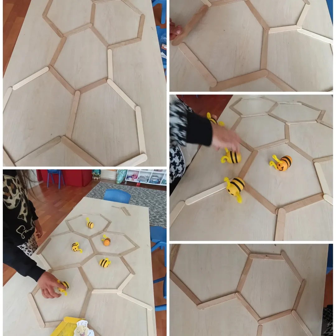 Uluslararası Etwinning Projemiz Secret Code Bio Gems Başarıyla Tamamlandı!Kurucusu Olduğumuz (10)