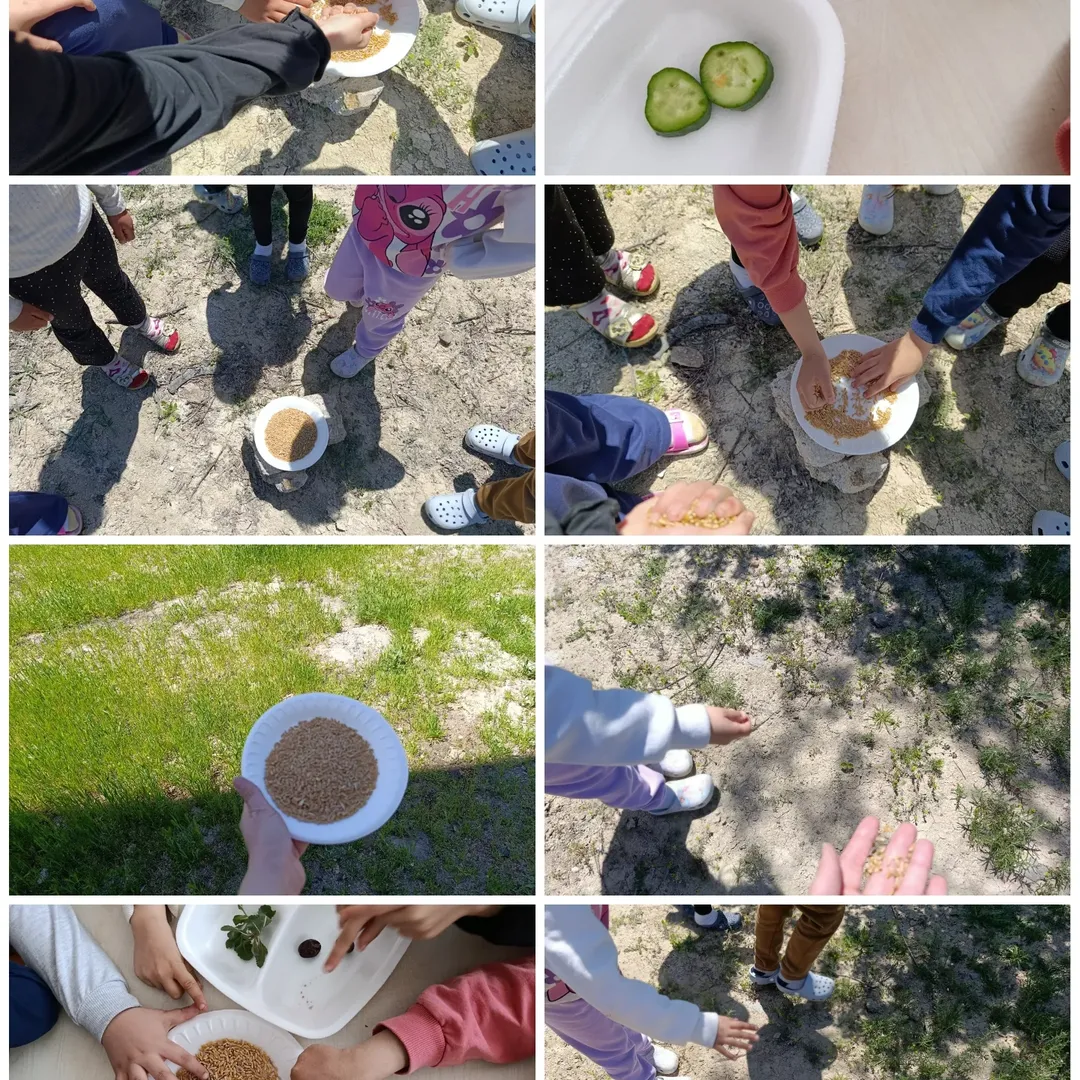 Uluslararası Etwinning Projemiz Secret Code Bio Gems Başarıyla Tamamlandı!Kurucusu Olduğumuz (6)