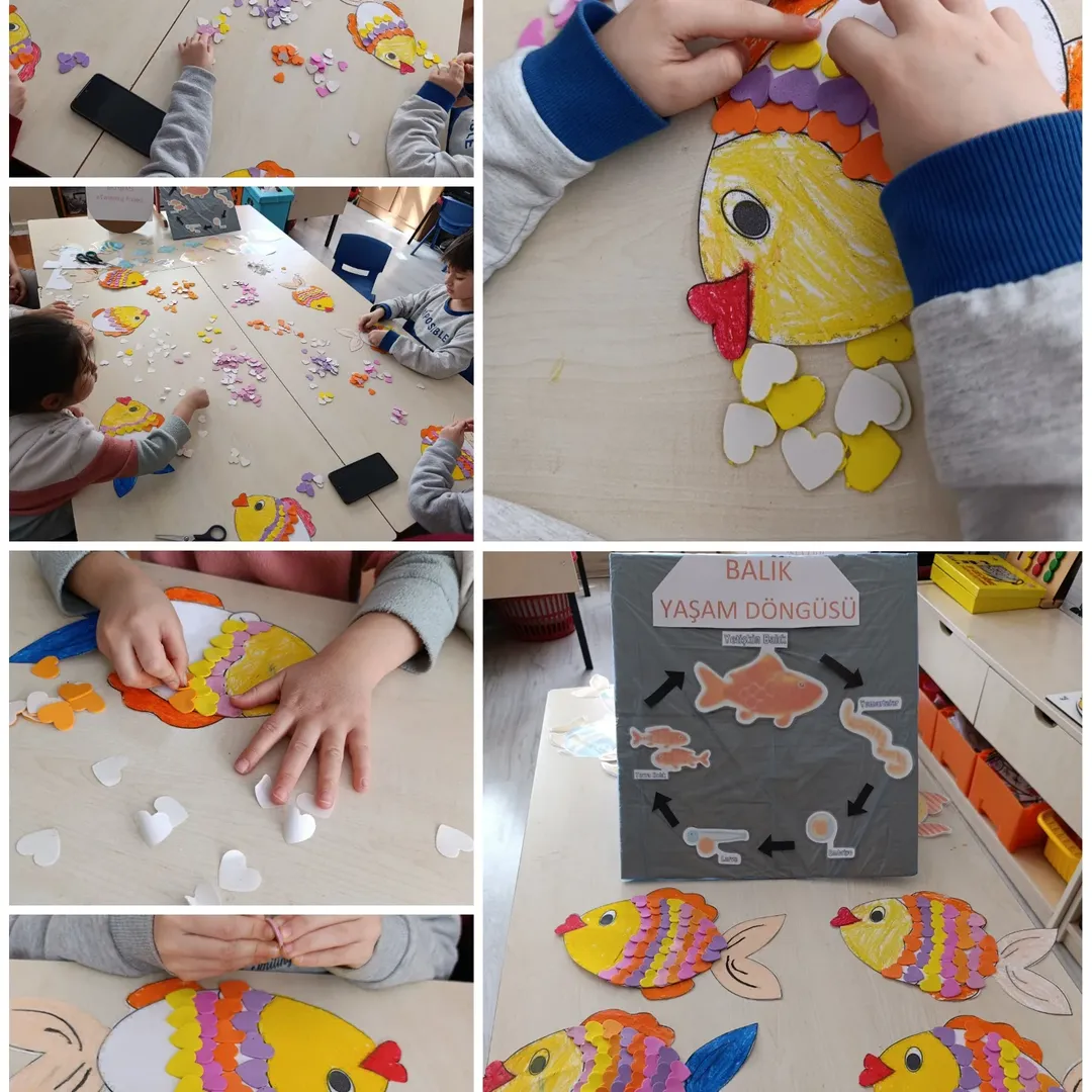 Uluslararası Etwinning Projemiz Secret Code Bio Gems Başarıyla Tamamlandı!Kurucusu Olduğumuz (7)