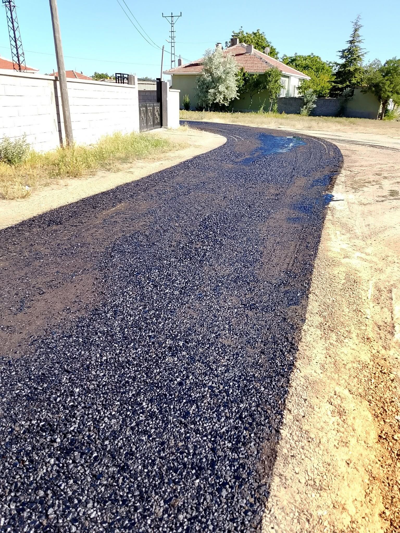 732560701 983231387841291 1262283168892226995 N
