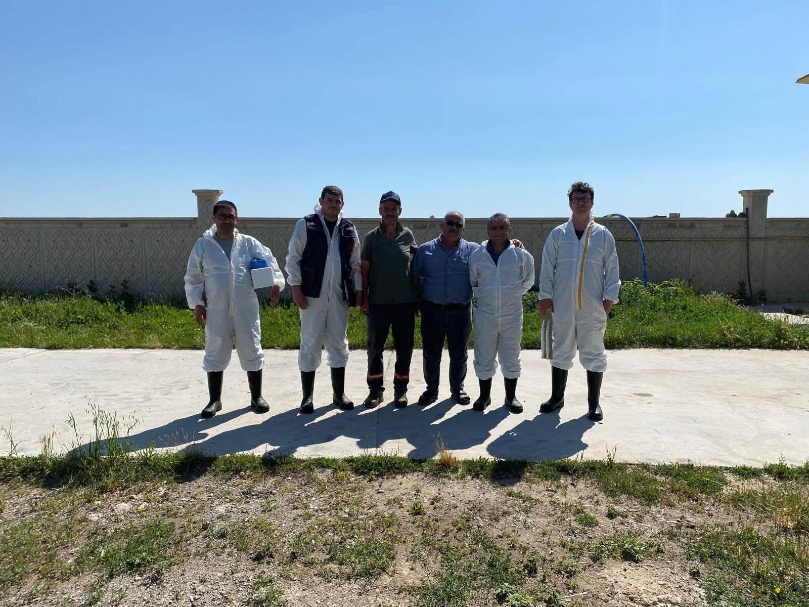 Hayvan Sağlığı İçin Kırşehir'de Kapsamlı Çalışma Başlatıldı