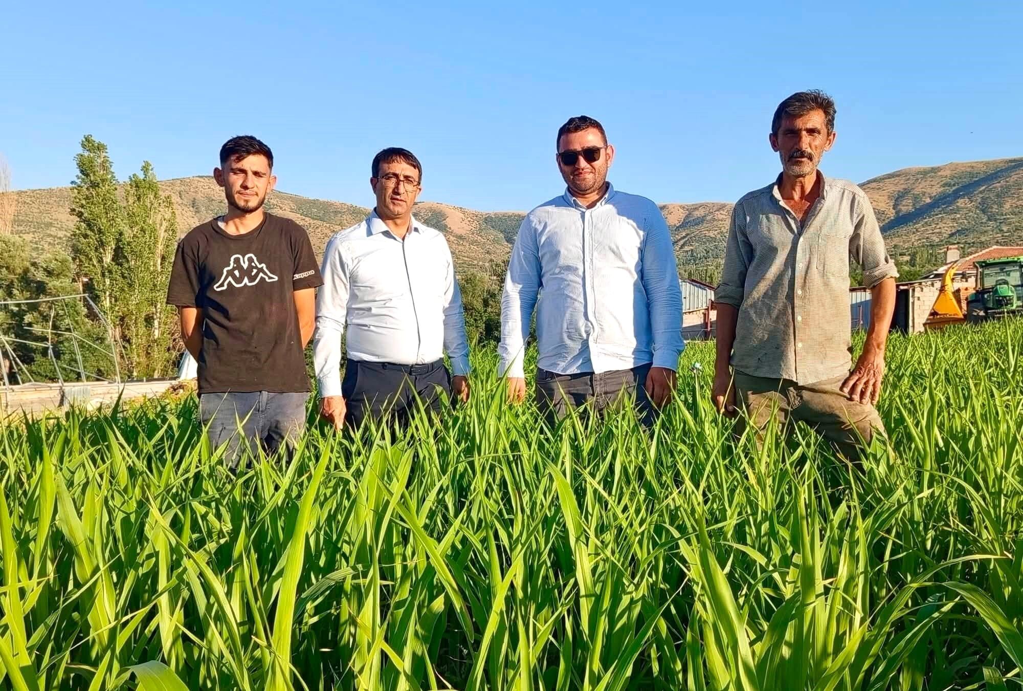 Kırşehir’de Kuraklığa Dayanıklı Yem Bitkisi Umut Oldu (1)