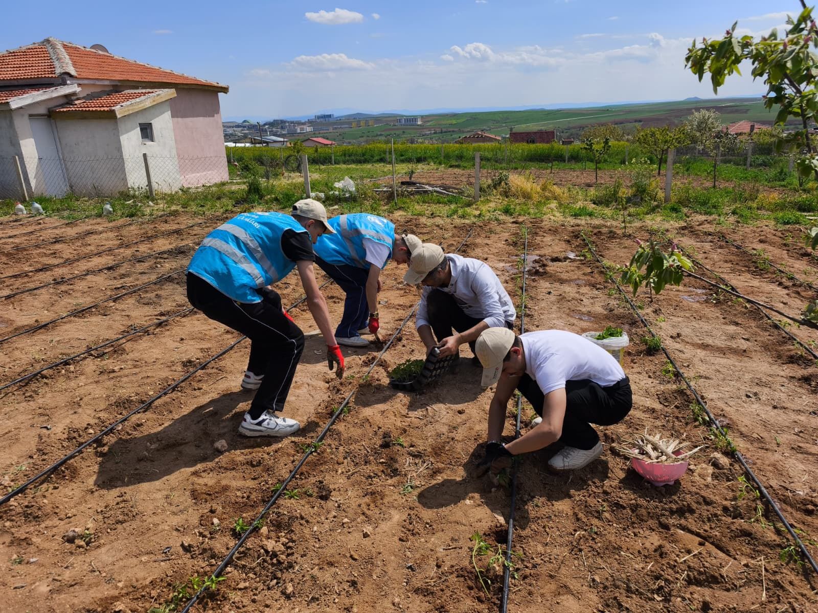 Kırşehir'de Permakültür Projesinde İkinci Etap Tamamlandı 4