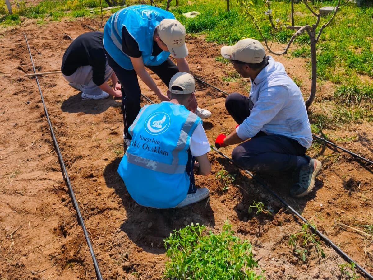 Kırşehir'de Permakültür Projesinde İkinci Etap Tamamlandı 5