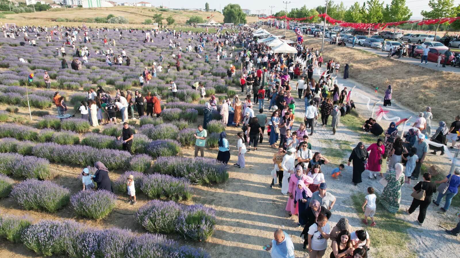 Kırşehirliler Lavanta Bahçelerinde Buluştu 2
