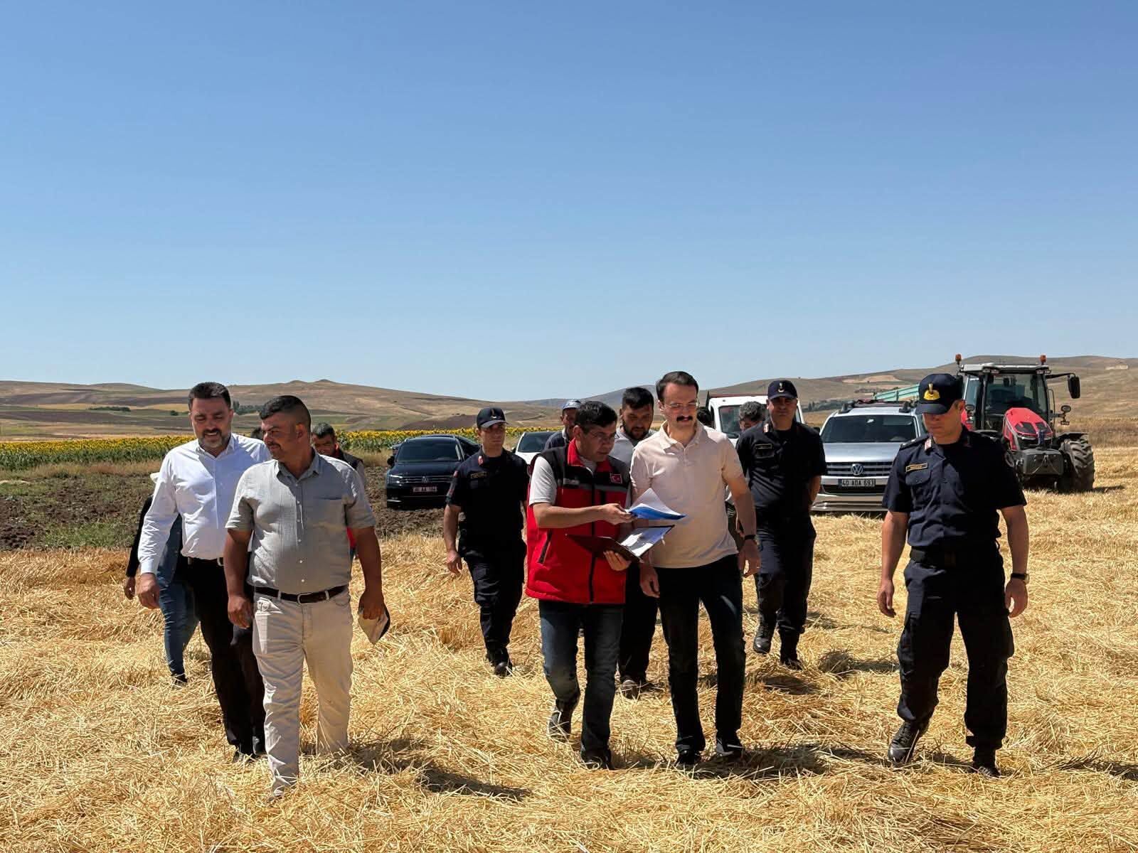 O İlçede Buğday Çeşitleri Karşılaştırıldı 1