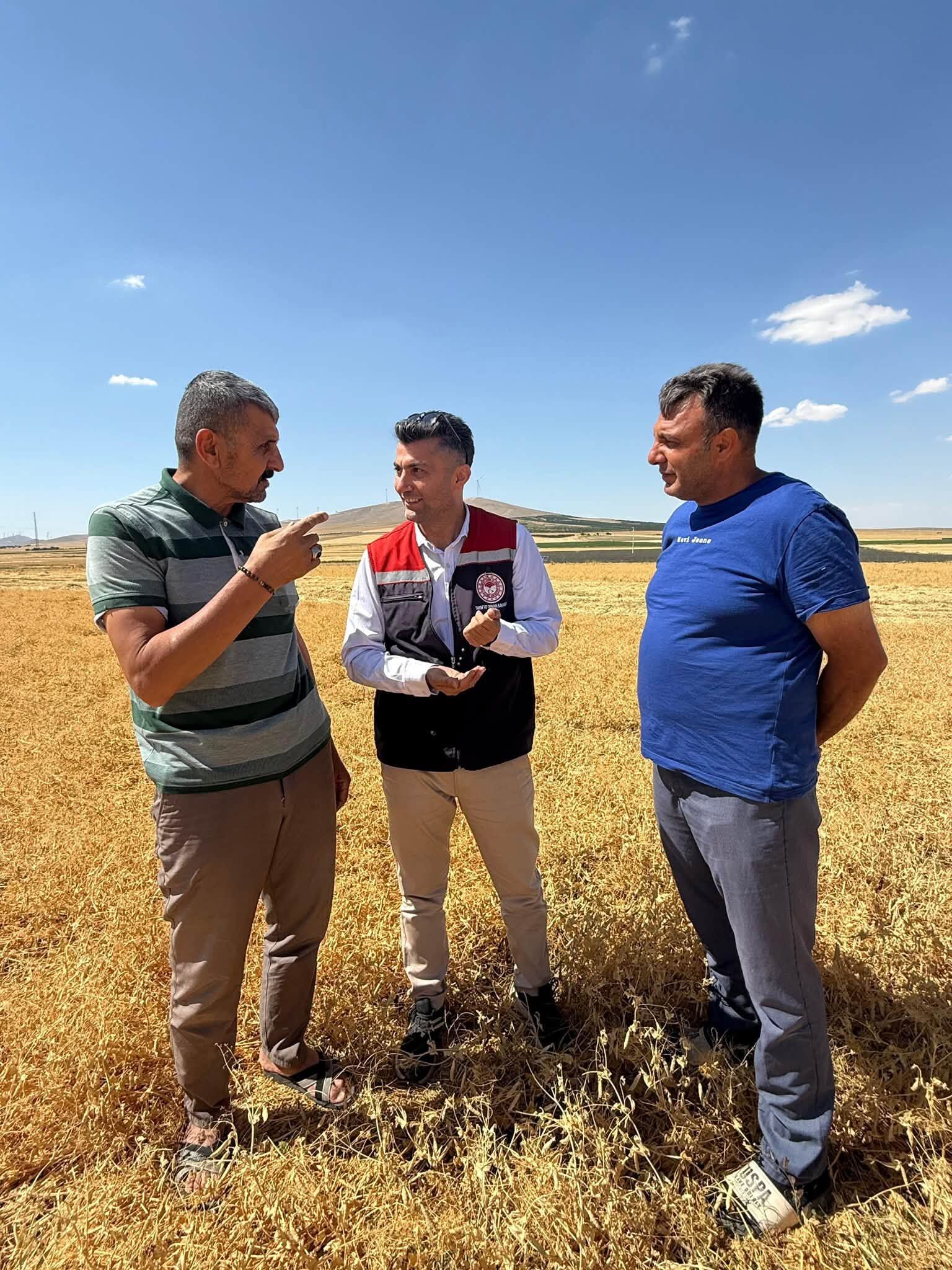 Yeşil Elmas Hasadı Başladı! 3