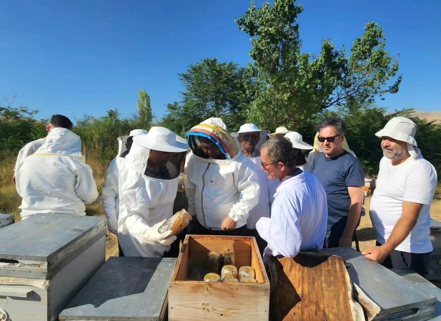 Arıcılar Sezonun İlk Ürünlerini Topluyor 2