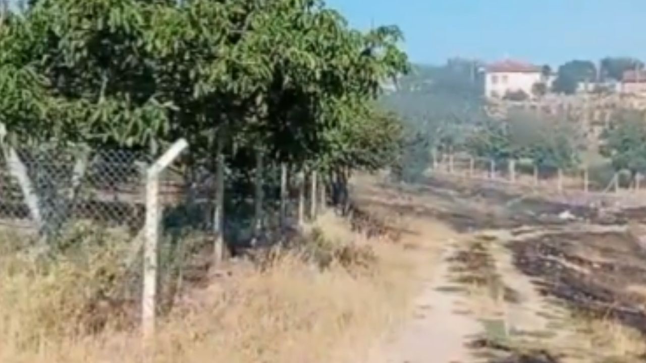 Kırşehir Kargın Yenice Köyü’nde Bahçelerde Zarar Oluştu 11