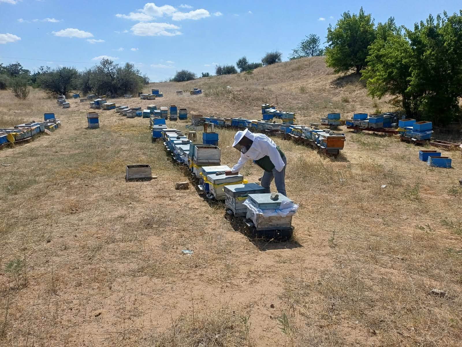 Kırşehir’de Hayvan Sağlığı İçin Saha Çalışmaları Sürüyor 1