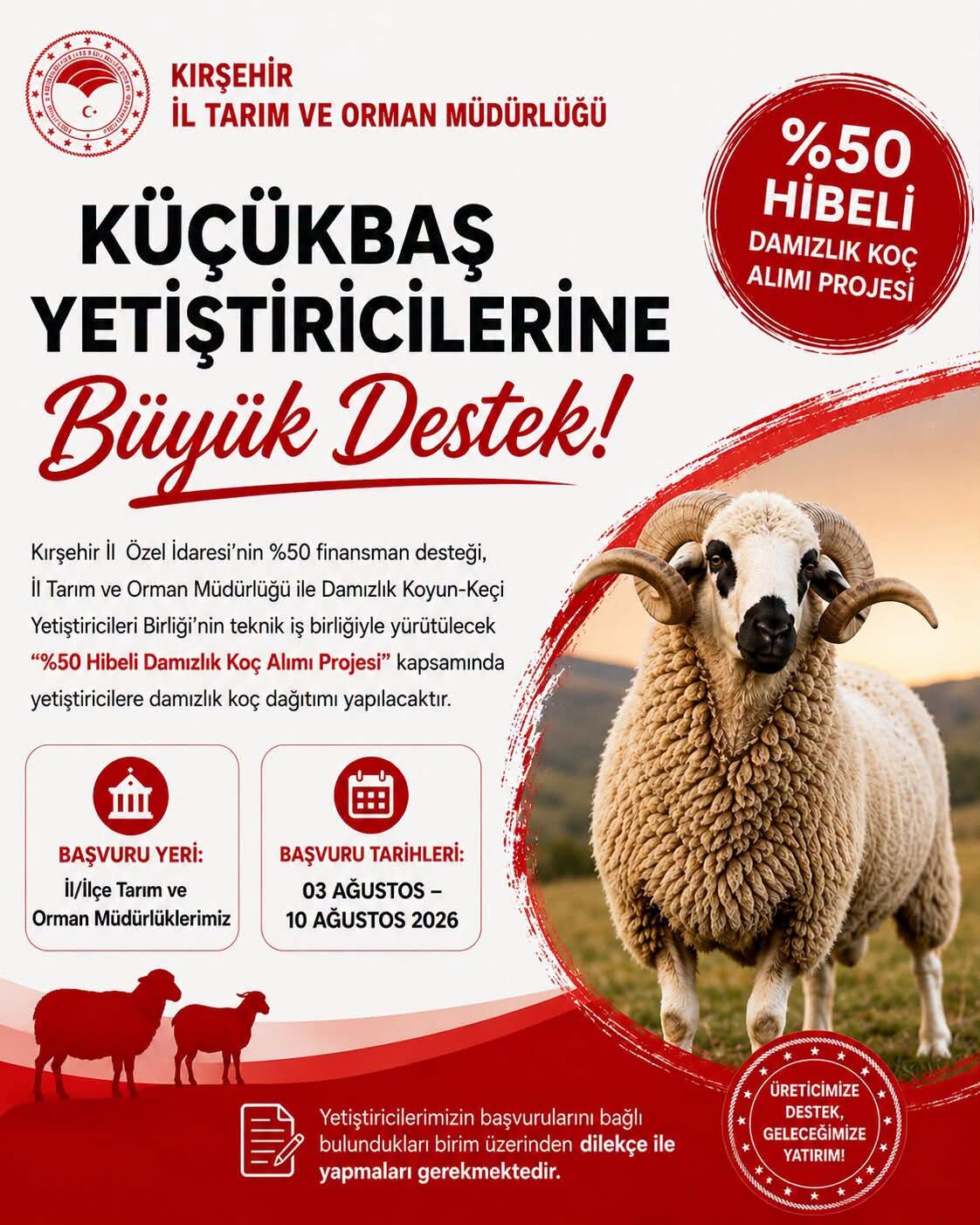Kırşehir’de Küçükbaş Yetiştiricilerine Yüzde 50 Hibeli Koç Desteği Başlıyor