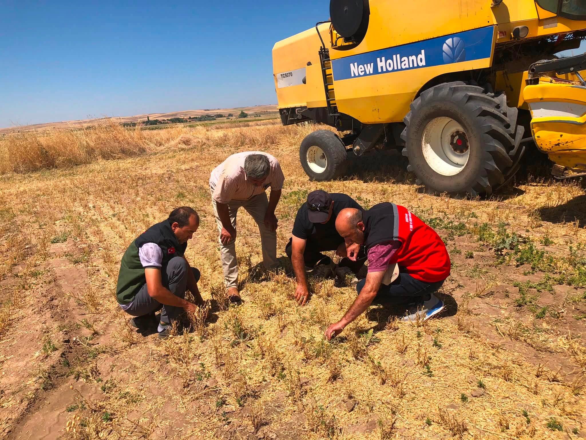 Kırşehir’de Tarımsal Üretimin Her Aşamasında Kontroller Sürüyor
