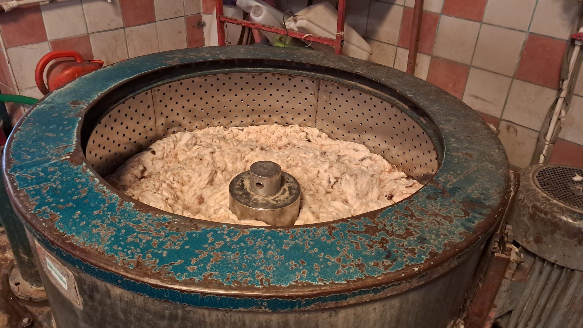 Kırşehir’de Yaz Gelince Yüncülerde Hareketlilik Başladı 3