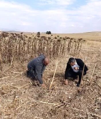 Hasat Başladı, Ekipler Sahada (2)