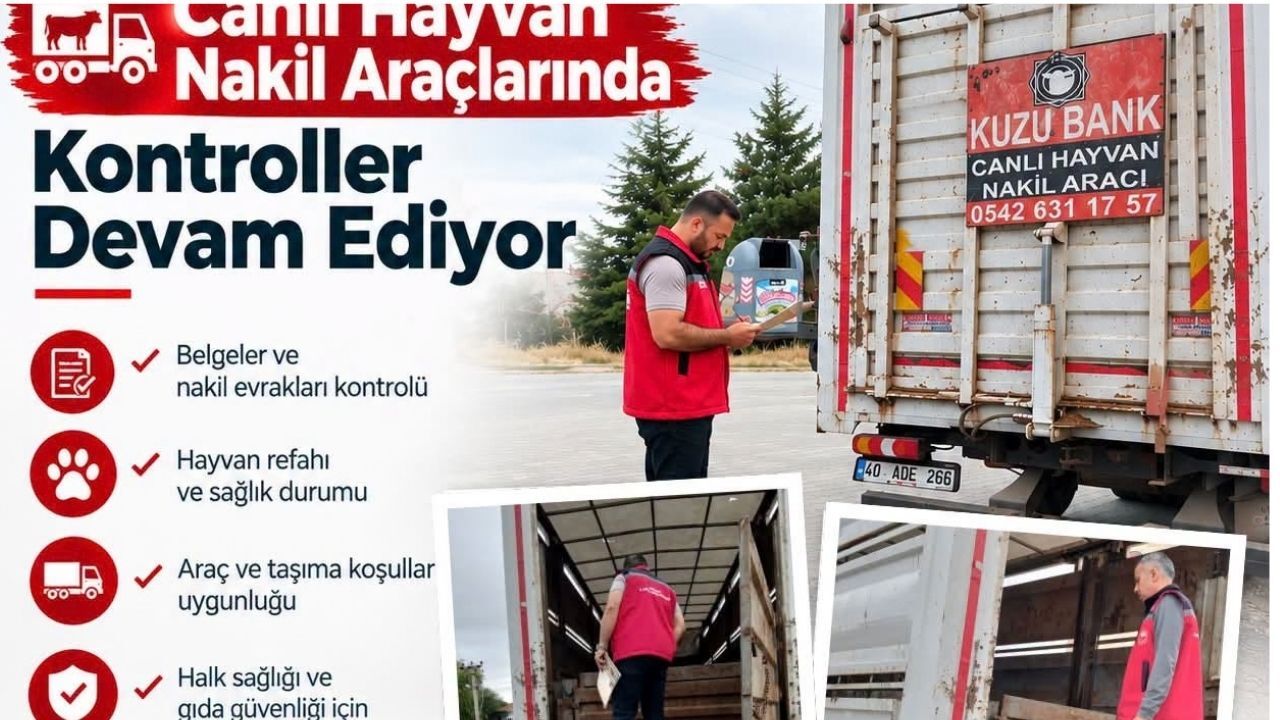 Kırşehir’de canlı hayvan nakil araçlarına sıkı denetim