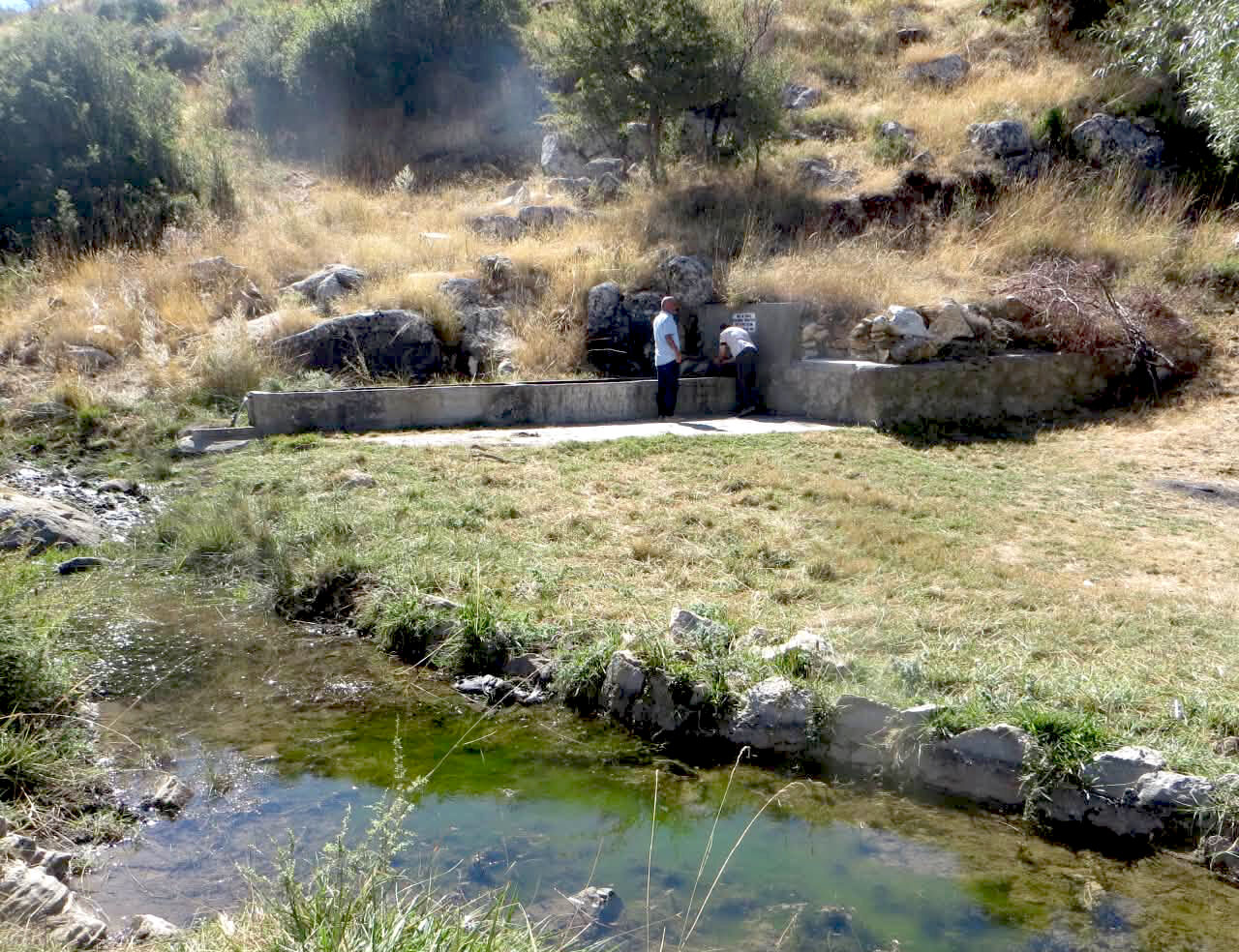 Kırşehir’de Yaban Hayatına Sıkı Takip (3)