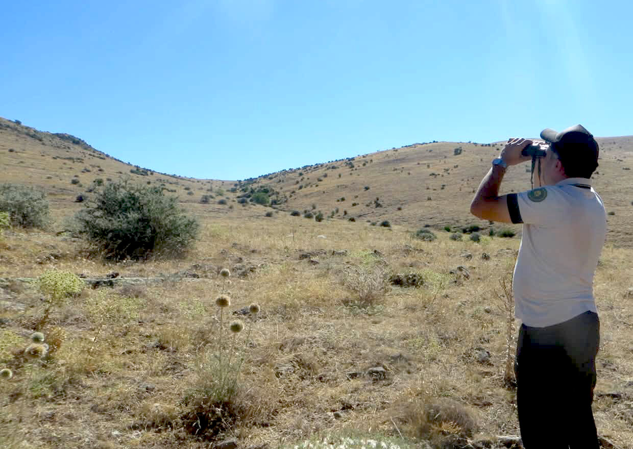 Kırşehir’de Yaban Hayatına Sıkı Takip (4)