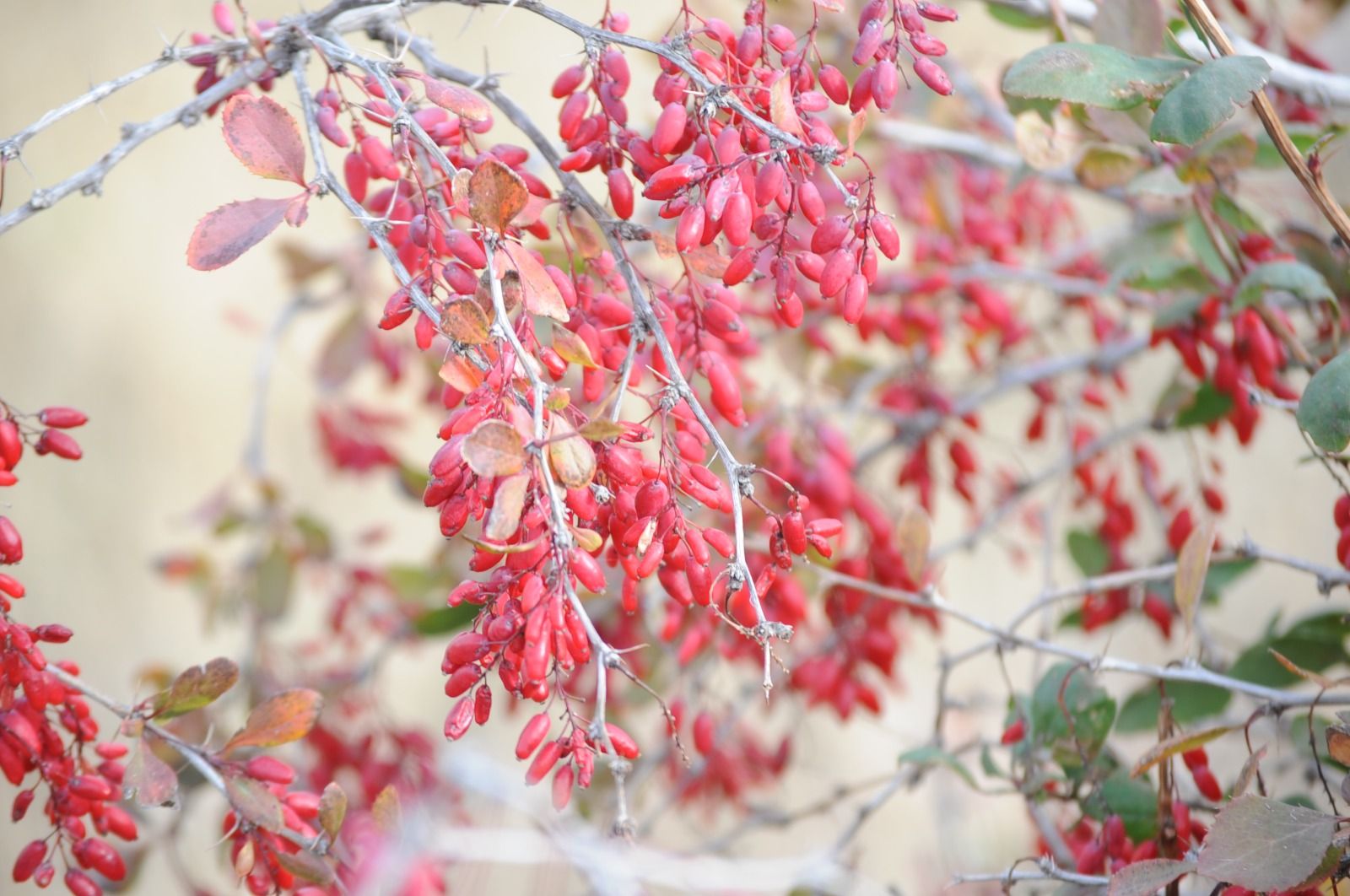 06F11F83 Ba27 4D09 8Aa9 E1D1Cd225Acb