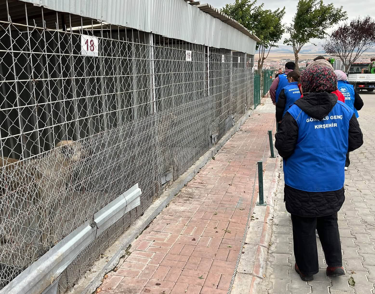 Gençler, Barınaktaki Can Dostlarını Yalnız Bırakmadı (3)