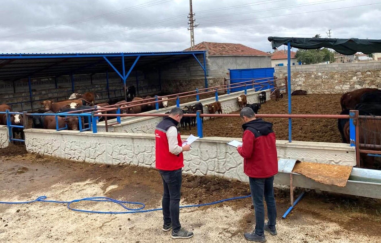 Kırşehir’de 2027 Ithalat Başvuruları Öncesi Hayvancılık Işletmeleri Denetlendi (7)
