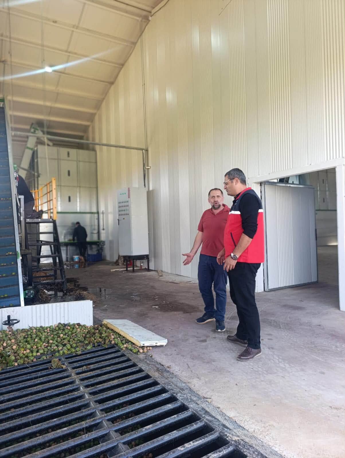 Kırşehir’in Ceviz Diyarı Kaman’da Hasat Mesaisi Başladı 1