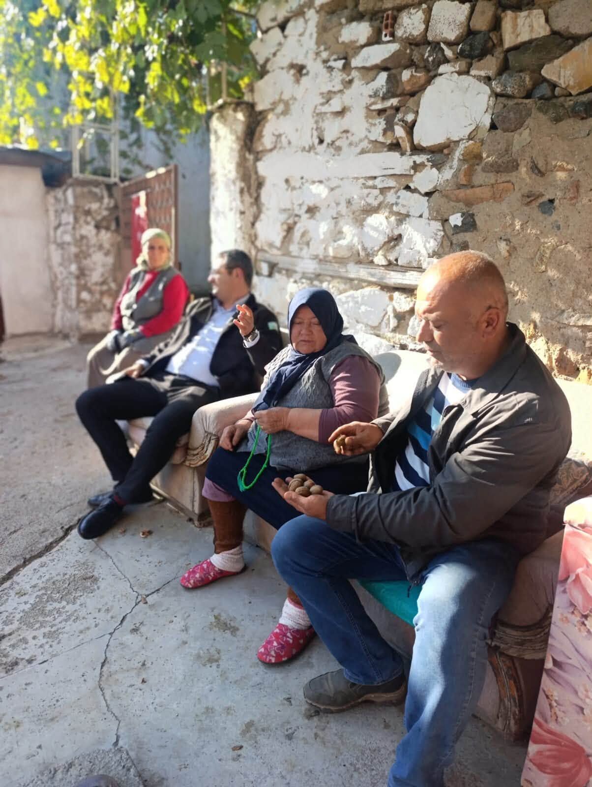 Kırşehir’in Ceviz Diyarı Kaman’da Hasat Mesaisi Başladı 5
