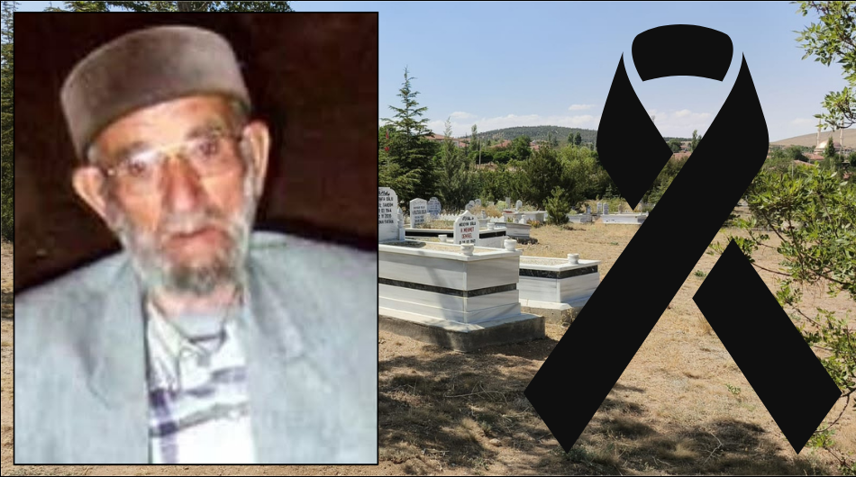 Ulu çınar hayatını kaybetti